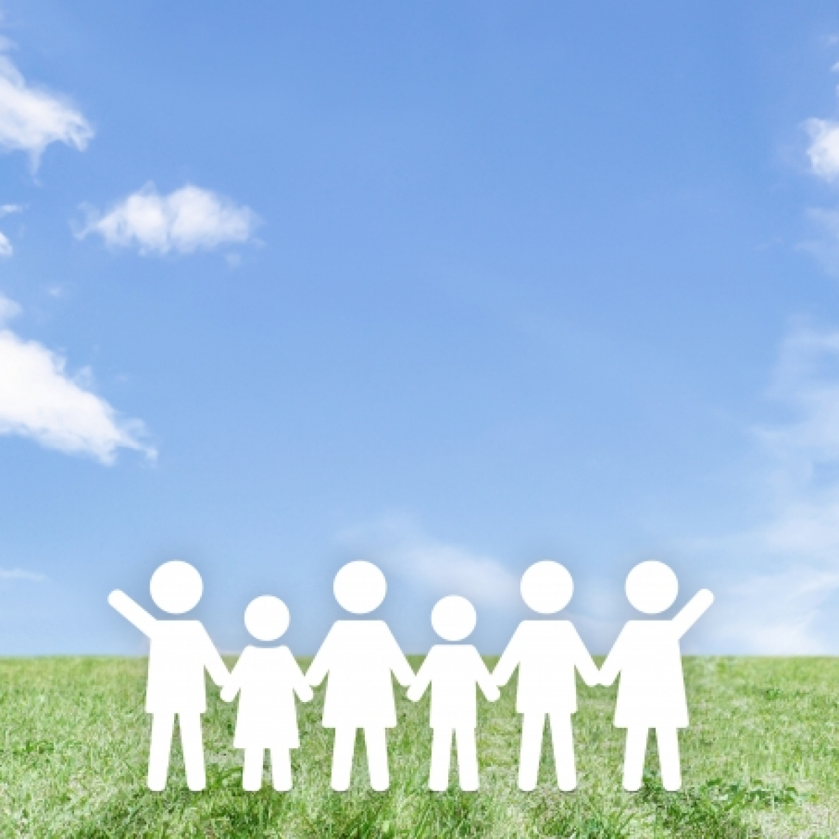 NPO法人 南天の木