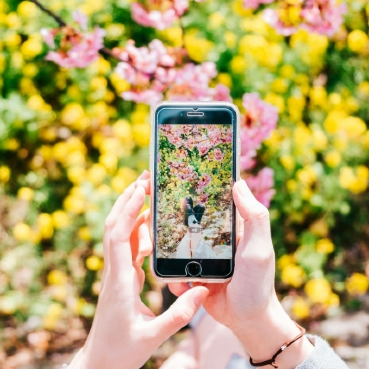 スマホ写真クラブ わいわいず