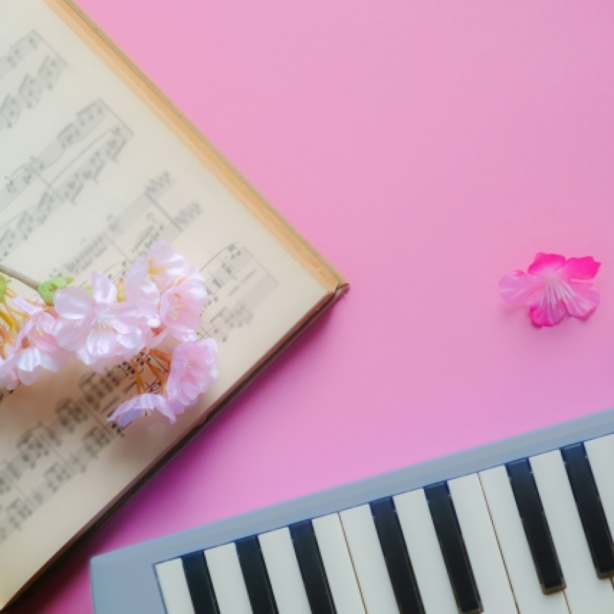 大人の鍵盤ハーモニカ♪ジャムシャンテ（音とともだち）