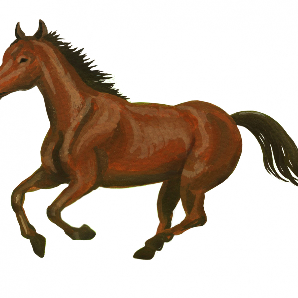 柏市豊四季・流山市松ヶ丘野馬除け土手を国・県指定文化財に実現する会